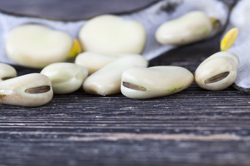 Fototapeta na wymiar black dry pods of bean
