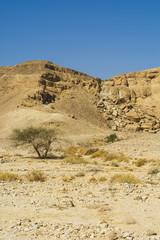 Stone desert in Israel.