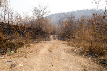 Hot weather and arid way in rural area, wildfire, global warming