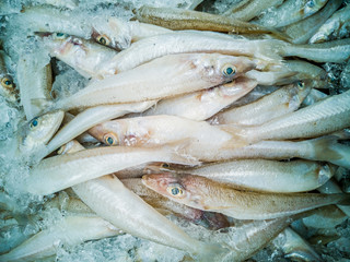 fresh fish at a thai daily market