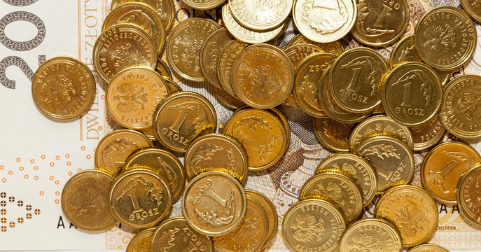 Polish coin money