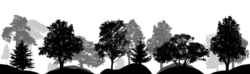 Obraz premium Set of trees, silhouettes isolated, vector