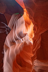 ANTELOPE1