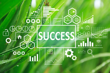Success in Business Concept