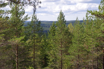 View across a forested valley