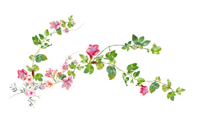 watercolor painting of leaves and flower, on white background