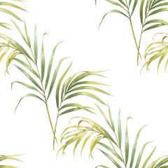 Fototapeta premium Watercolor illustration of coconut palm leaves, seamless pattern on white background