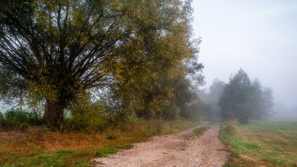 Mglisty poranek... © podlaski49