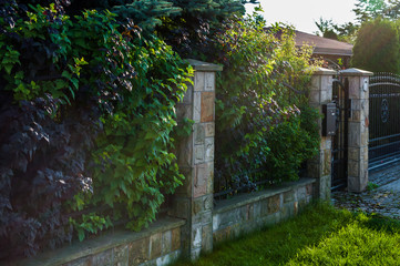 Betonowe ogrodzenie domu z ozdobną zielenią