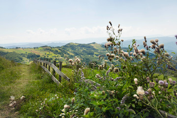 Countryside landscape.