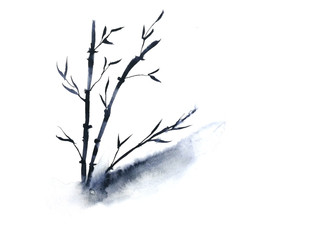 watercolor bamboo ink traditional oriental. asia art style.isolated on a white background © Atichart 