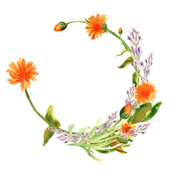 Hand drawn watercolor flower and leaves wreath of calenula officinalis and lavender.