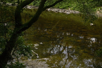 reflection in river water
