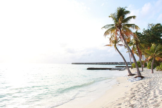 beach
