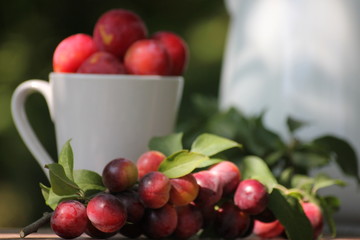 Summer fruit from the village. Nature.