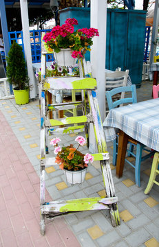 unusual wooden ladder with 
flowerpots on street in front of restaurant in touristic place Sarti in Greece