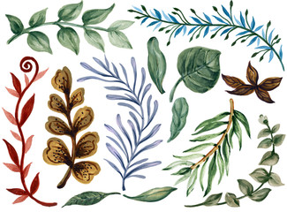 Watercolor illustration Botanical leaves collection Set of wild and garden and abstract  leaves elements