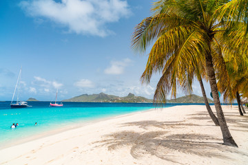 Idyllic beach at Caribbean