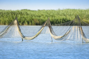 Reti da pesca distese