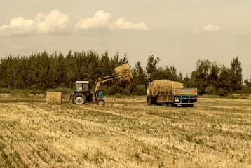 Obraz premium Farmer on a tractor picks haystack and loads bale of hay into the trailer, agriculture