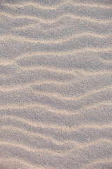 Warm beige wavy sand texture, vertical