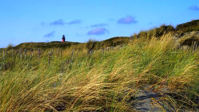 Sylt D&uuml;nen Landschaft mit Leuchtturm H&ouml;rnum im Hintergrund