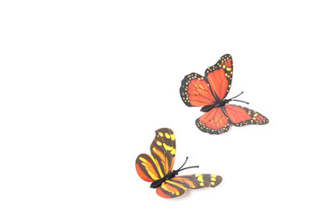 Fototapeta na wymiar Butterflies isolated on white with soft shadow beneath each