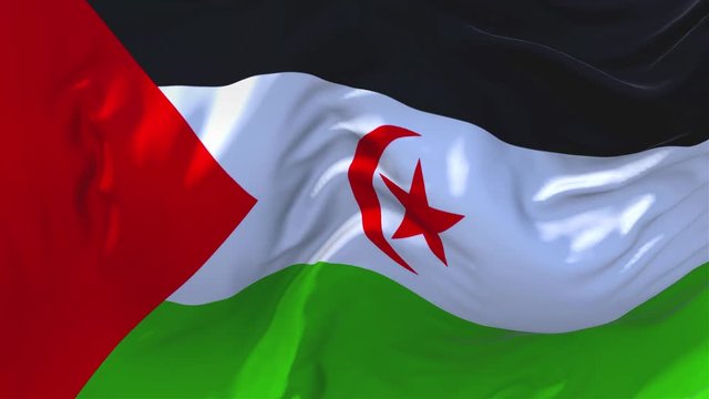 143. Western Sahara Flag Waving in Wind Slow Motion Animation . 4K Realistic Fabric Texture Flag Smooth Blowing on a windy day Continuous Seamless Loop Background.