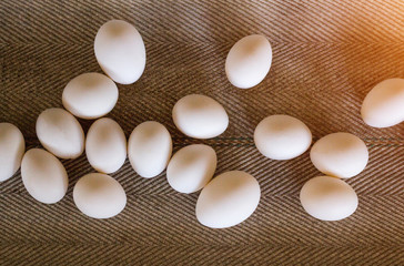 The production of chicken eggs, poultry, chicken eggs go through the conveyor for further sorting, close-up, transporter