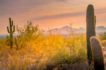 Arizona is home to many mountains and peaks that people like to climb and hike surprises people who think that deserts are flat and sandy and yellow! The mountains in the southwestern USA 