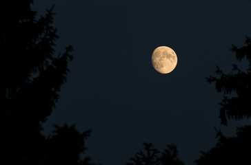 Naklejka na ściany i meble Moon on sky in a clear night