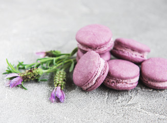 french macarons with lavender flavor