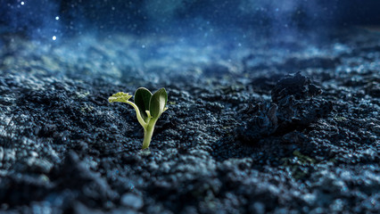 Is there life on moon . Mixed media