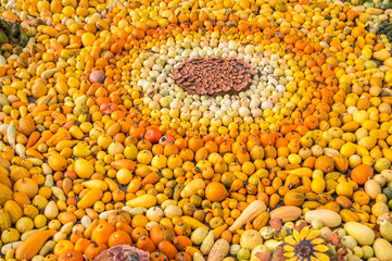 Varietes of Autumn Pumpkins in Spiral Decoration