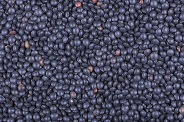 texture background lentil