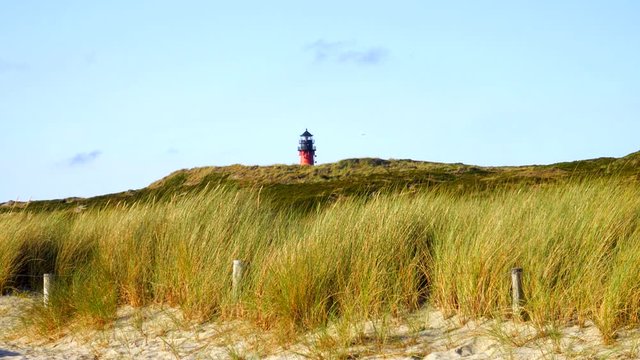 Wunderschöner Leuchtturm Hörnum Sylt mit Dünen Landschaft  und blauen Himmel
