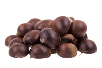 edible chestnuts