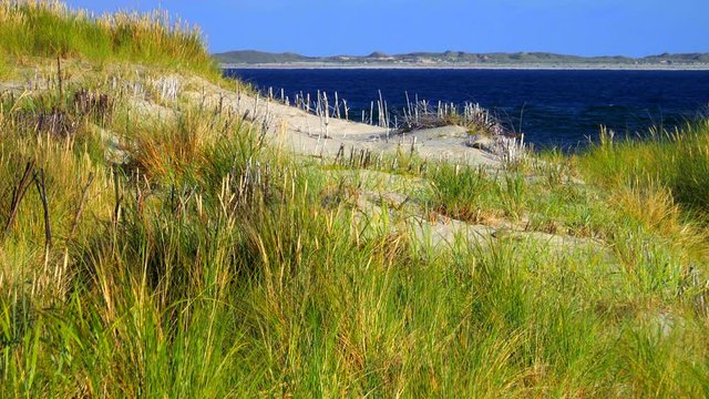 Sylt D&uuml;nen Landschaft in H&ouml;rnum mit Blick auf Amrum

