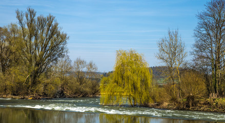 Obraz premium la riviére au saule pleureur