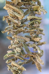 Fototapeta na wymiar View of dry string beans hanged with ropes in a traditional way in Turkey