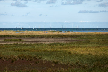 offshore wind farm on the baltic sea in germany