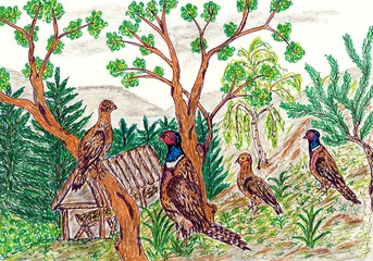 Hand drawn multicolor illustration with nature theme (pheasants in nature) - scan