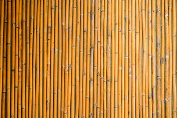 Bamboo texture background