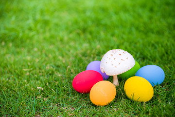 Colorful easter eggs under the white mushroom on the green garden yard. symbol of easter's day festival. festive wallpaper. image for background, wallpaper,article,illustration and copy space.