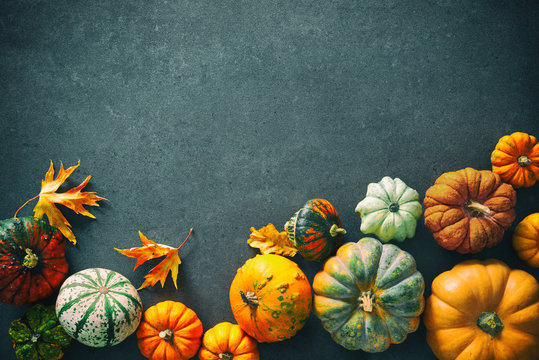 Thanksgiving background with various pumpkins, gourds and falling leaves