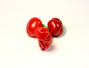 Red chili peppers making up the erection penis with testicles. Front view