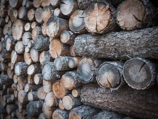 Wooden stock pile wall with multiple colors and stock dimensions