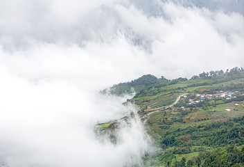 Fog and cloud mountain valley spring landscape.Forested mountain slope in low lying cloud with the evergreen conifers shrouded in mist in a scenic landscape view.