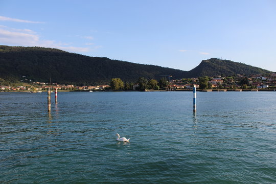 Paratico 