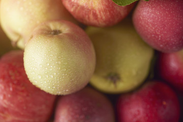 Fresh ripe apple with water drops, Close-up